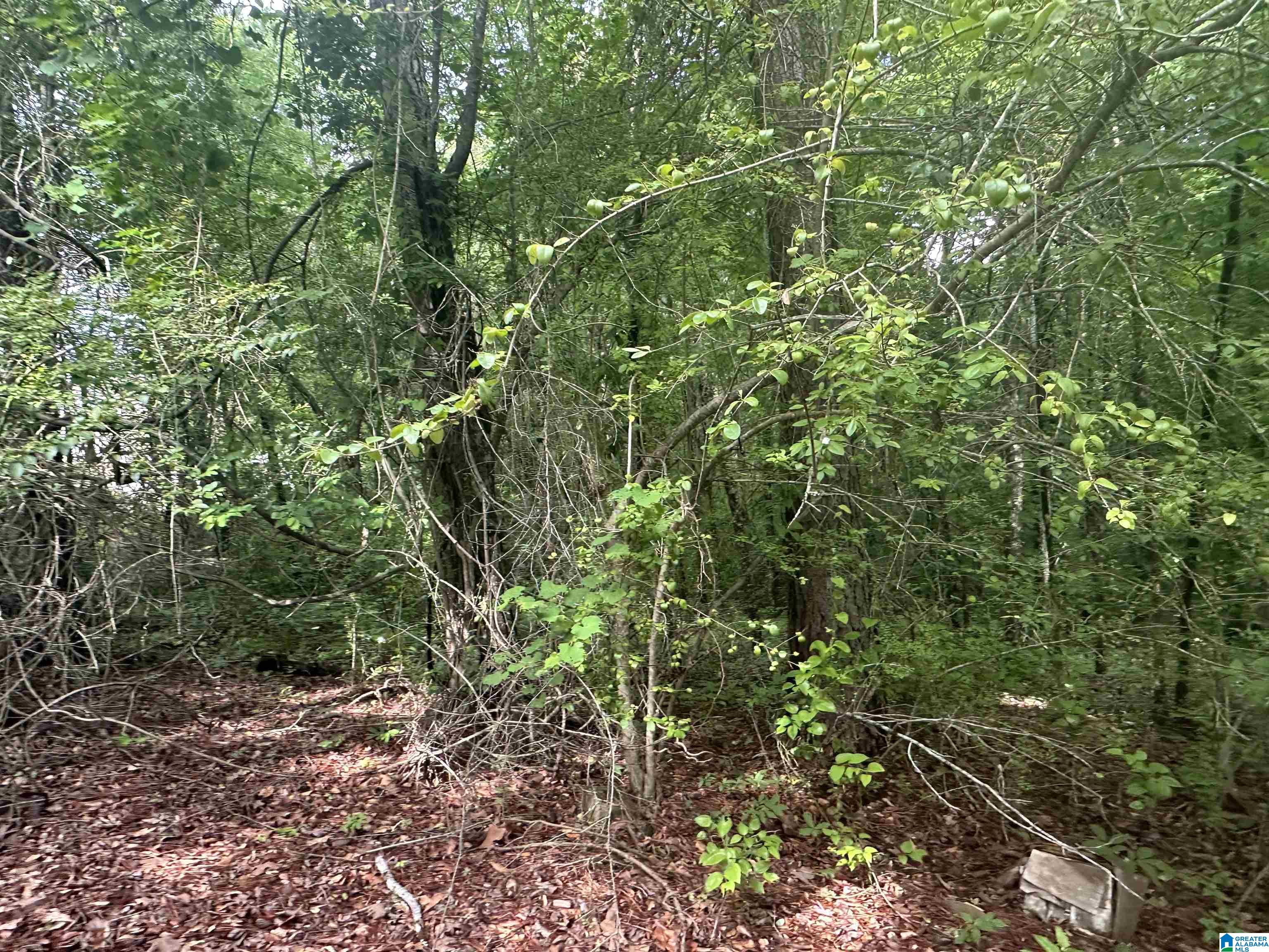 3098 McClendon Chapel Road Bessemer, AL 35022 - Photo 3 of 16