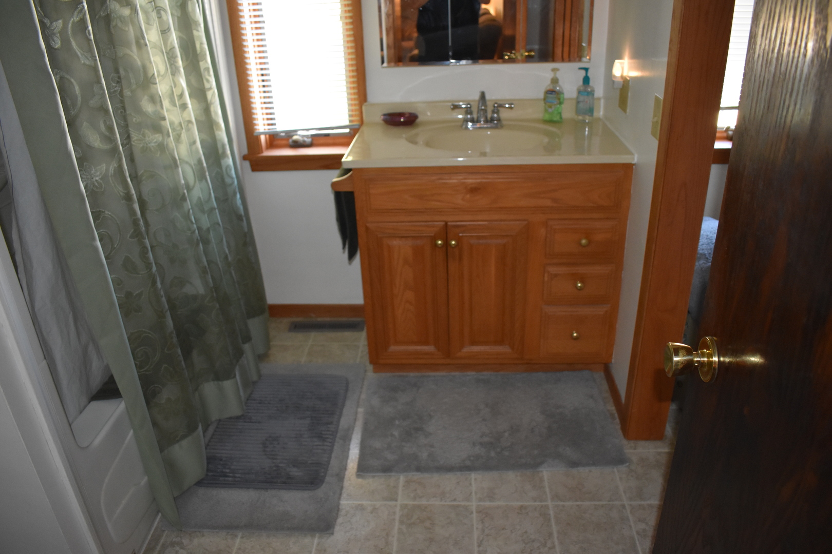 9898 East 1200 N Road Chenoa, IL 61726 - Photo 15 of 50 a bathroom with a sink a vanity and a mirror