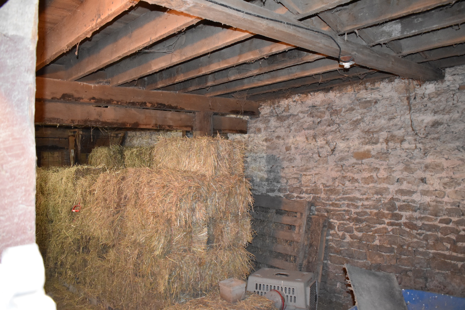 9898 East 1200 N Road Chenoa, IL 61726 - Photo 37 of 50 a bathroom with a shower