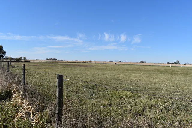 a view of a lake with a city