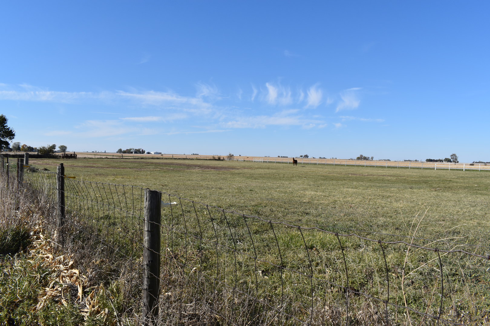 9898 East 1200 N Road Chenoa, IL 61726 - Photo 46 of 50 a view of a lake with a city