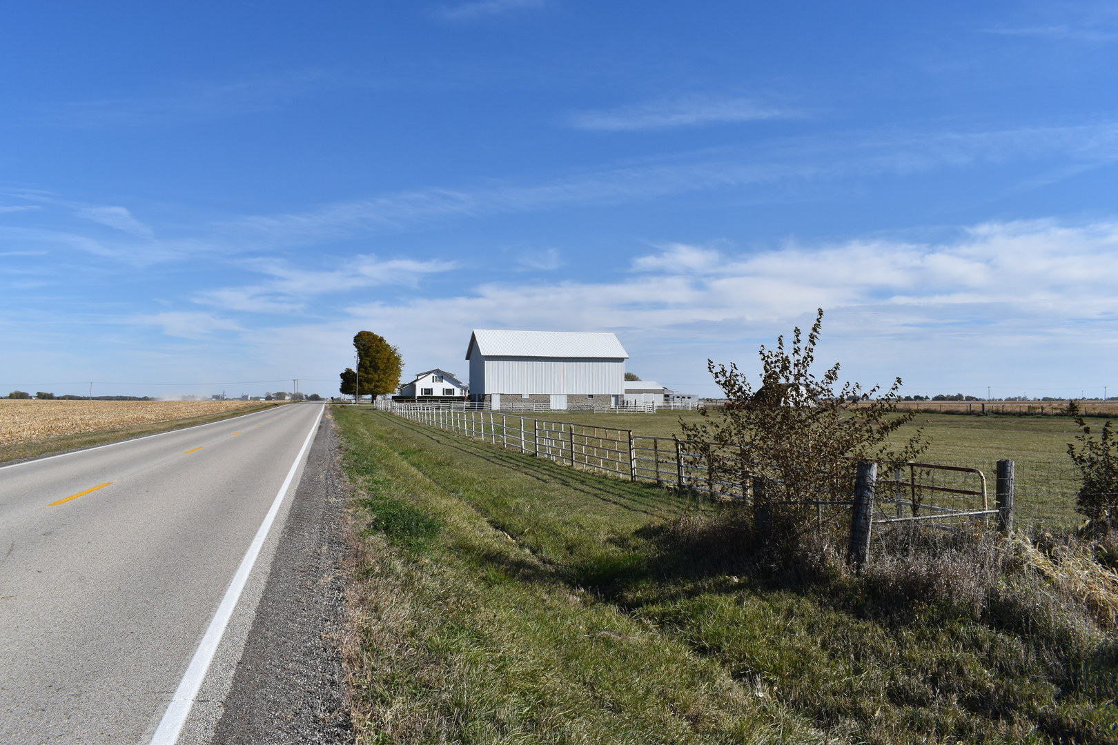 9898 East 1200 N Road Chenoa, IL 61726 - Photo 47 of 50 a view of a lake with a yard
