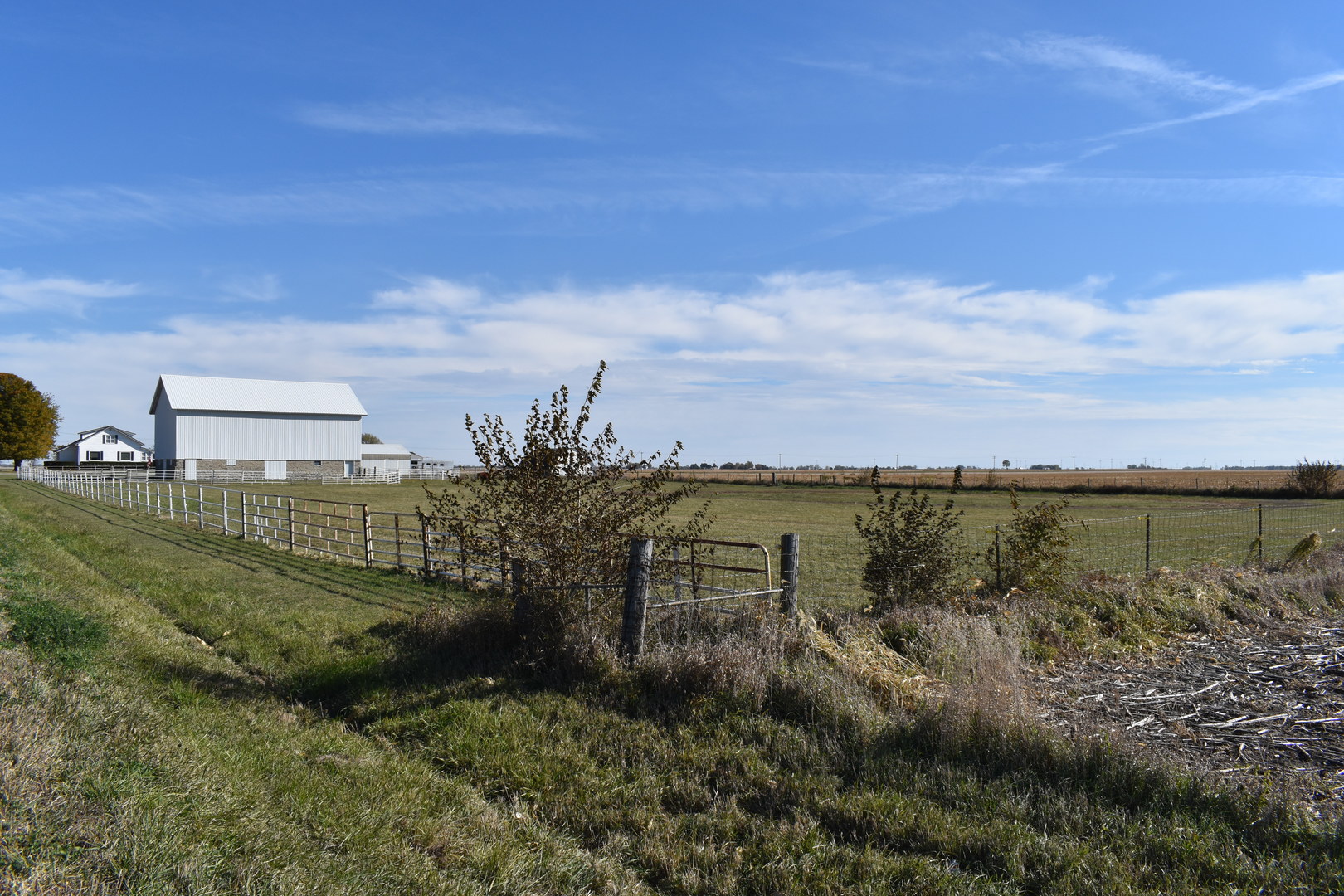 9898 East 1200 N Road Chenoa, IL 61726 - Photo 48 of 50 a view of a lake from a yard