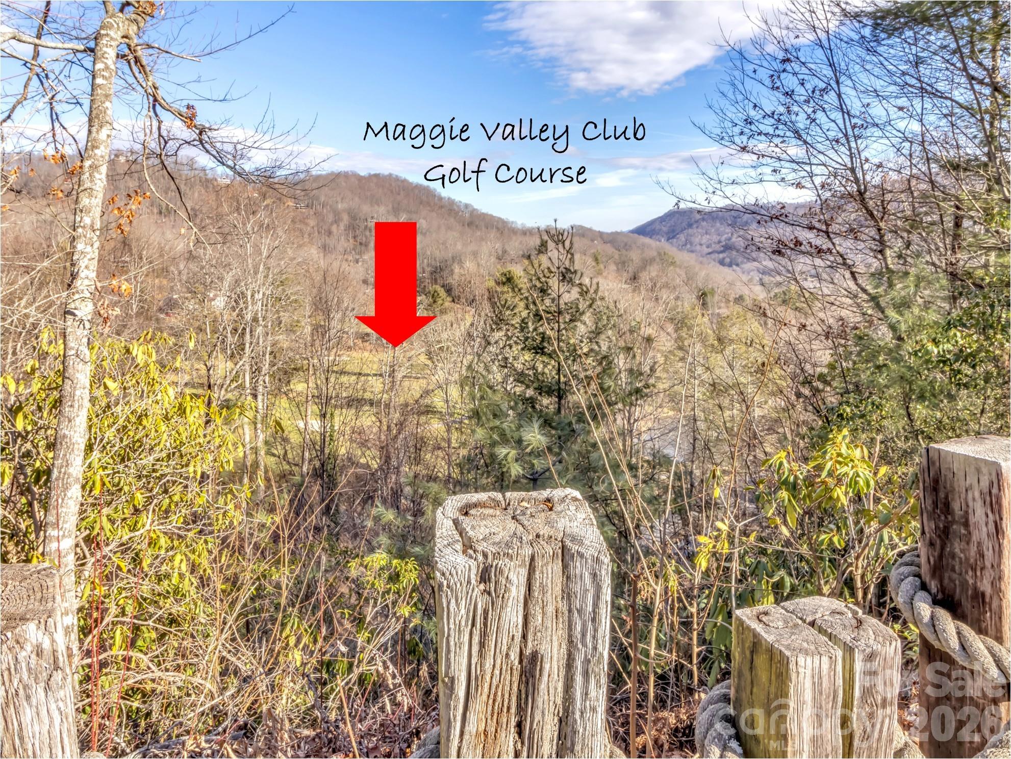 30 Edgewater Lane Maggie Valley, NC 28751 - Photo 28 of 36