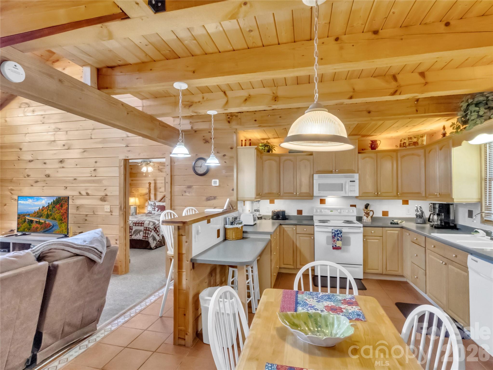 30 Edgewater Lane Maggie Valley, NC 28751 - Photo 8 of 36