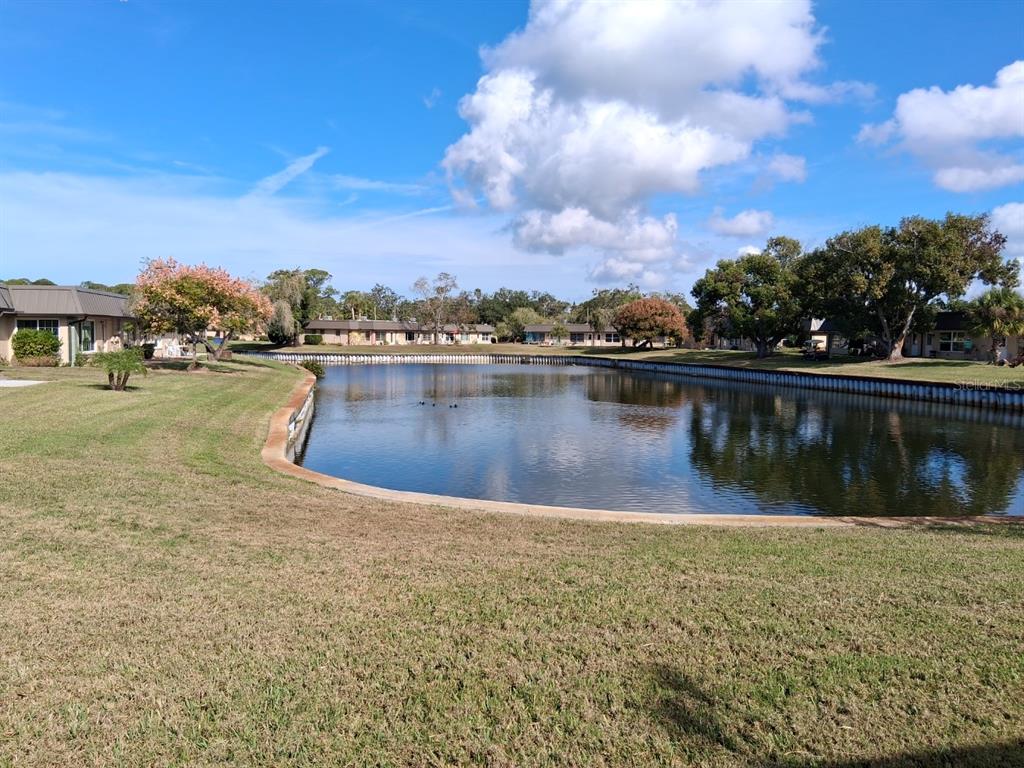 4326 Summersun Drive New Port Richey, FL 34652 - Photo 20 of 28 a view of a lake with houses in the back
