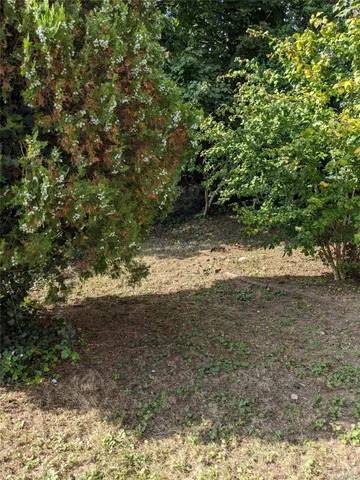 a view of a yard with a tree