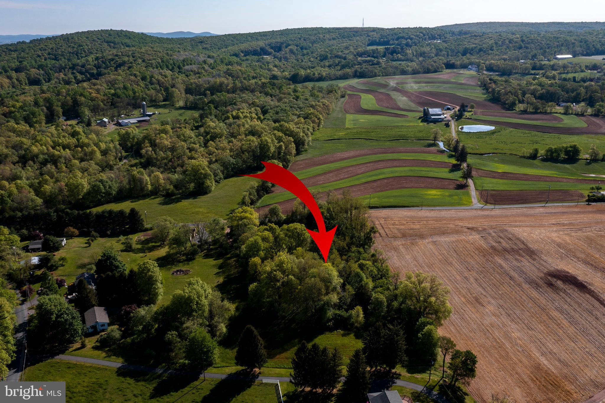 2956 Hay Creek Road Birdsboro, PA 19508 - Photo 3 of 26 Showcased on a privacy wooded null