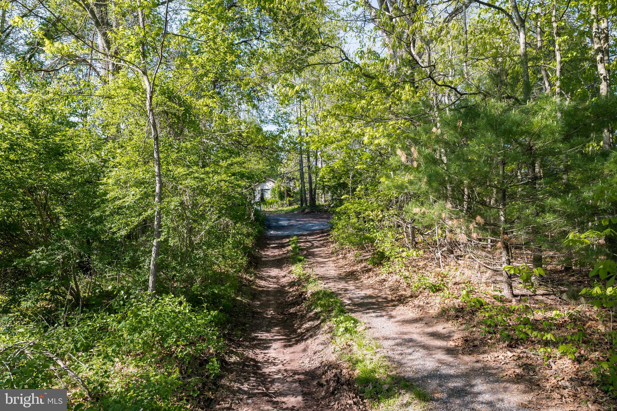 2956 Hay Creek Road Birdsboro, PA 19508 - Photo 7 of 26 Tree Lined Driveway Leads to Private Setting