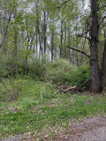 $65,000 | V/l West Quimby Road, Hastings, MI 49058