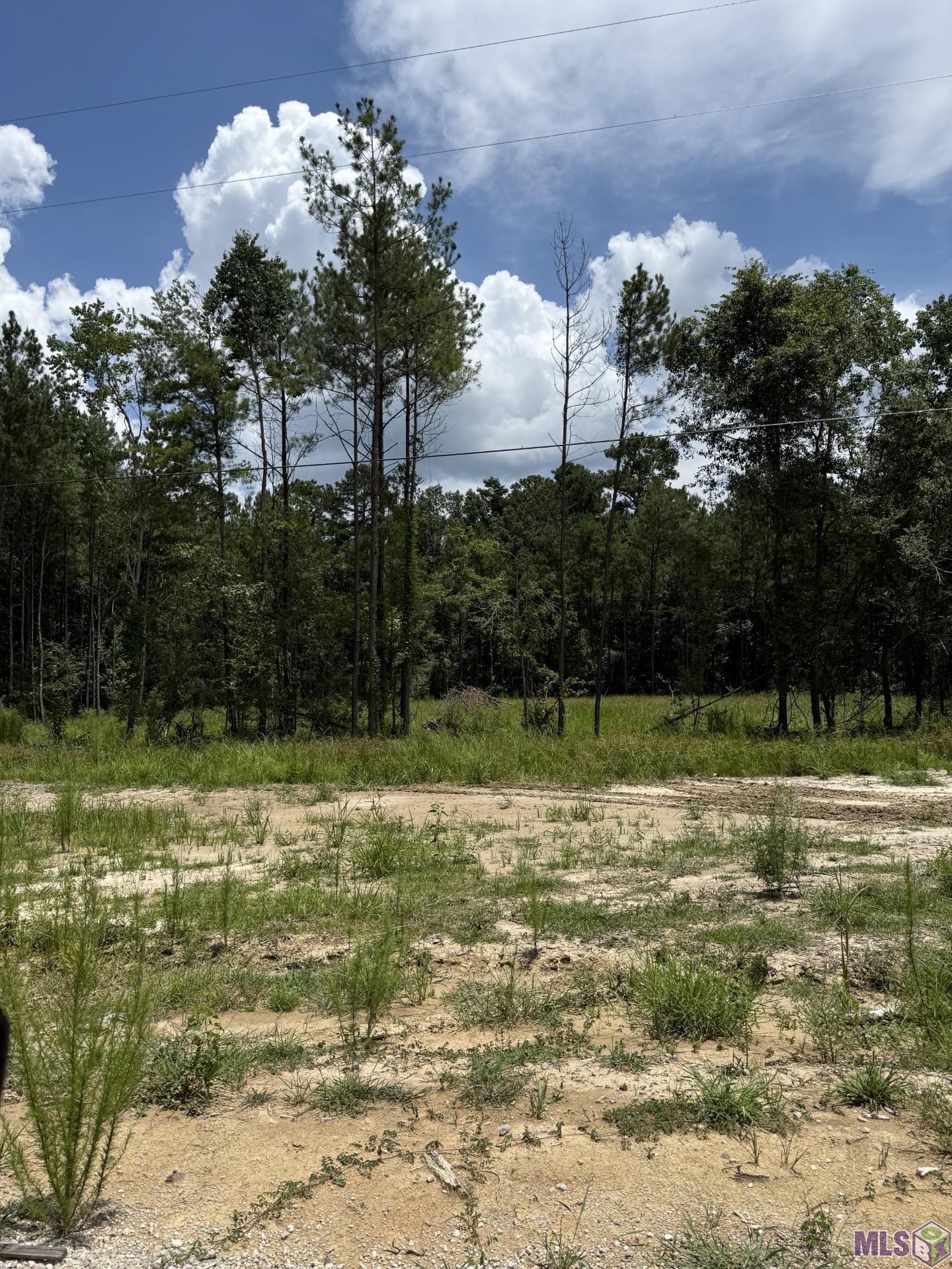 17249 Jack Allen Road Livingston, LA 70754 - Photo 5 of 6