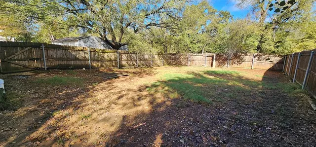 a view of a yard with plants and trees