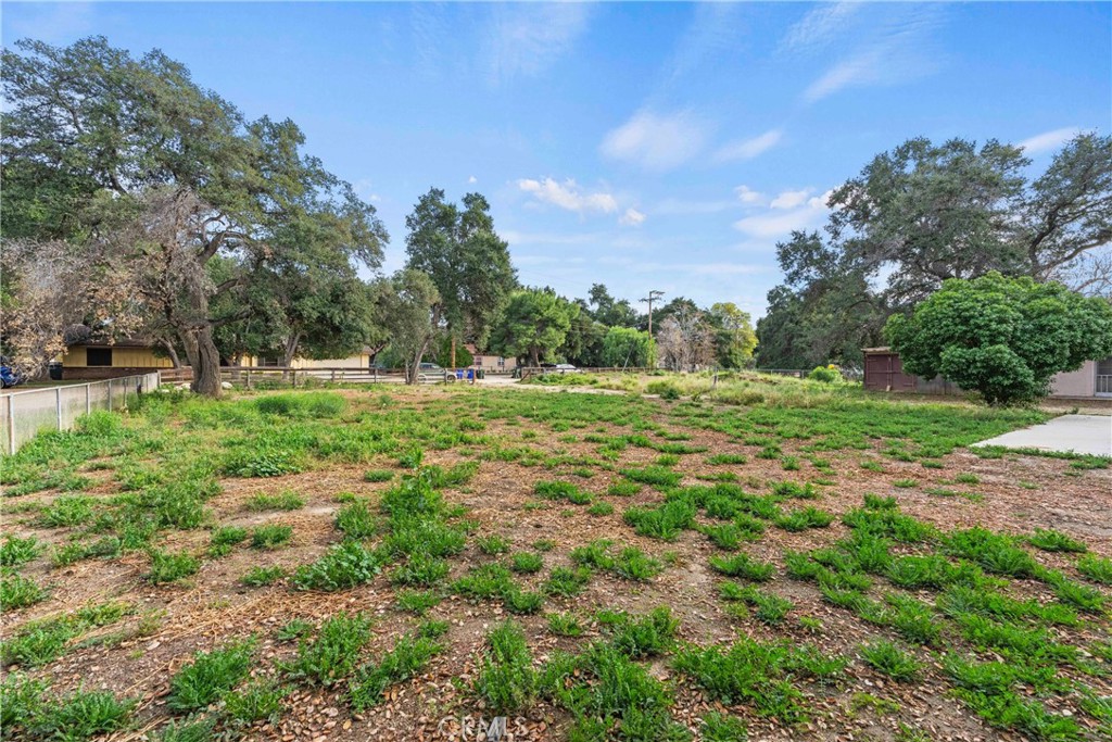 24811 Meadview Avenue Newhall, CA 91321 - Photo 62 of 73 a big yard with lots of green space and plants
