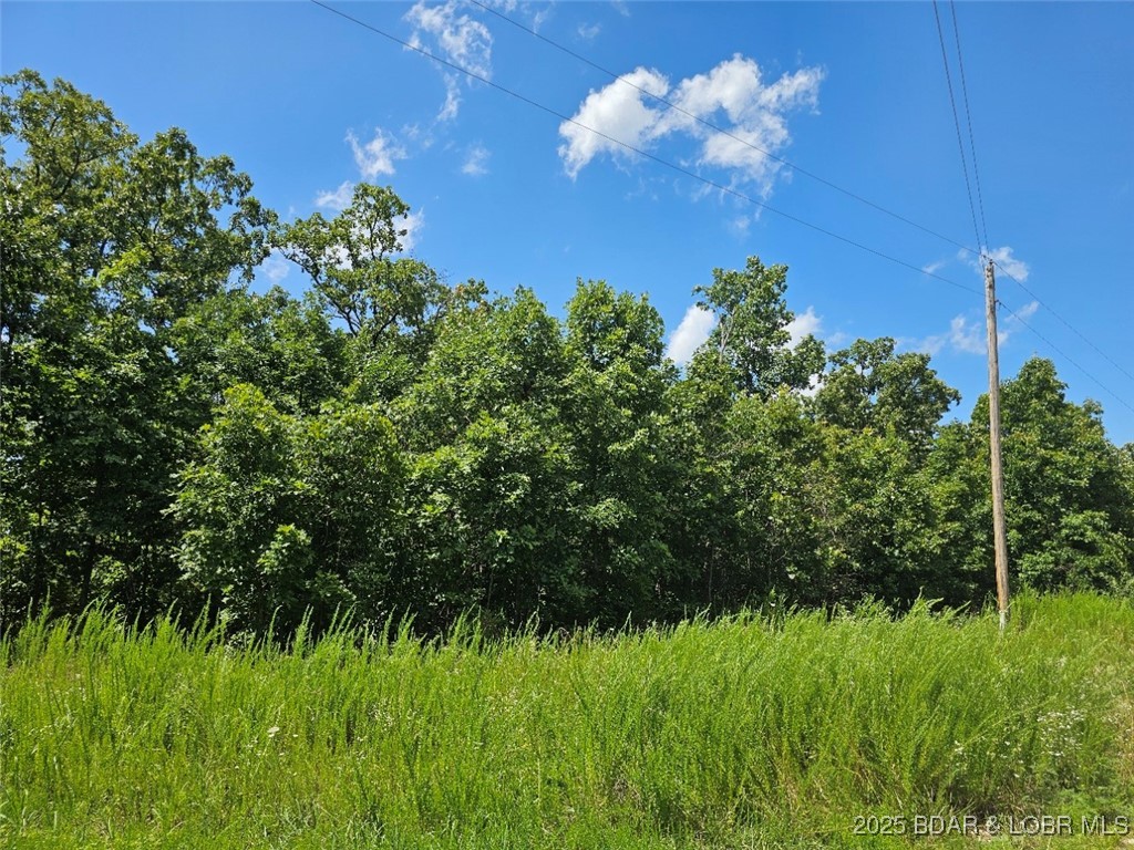 Tbd Copperstone Road Camdenton, MO 65020 - Photo 12 of 13