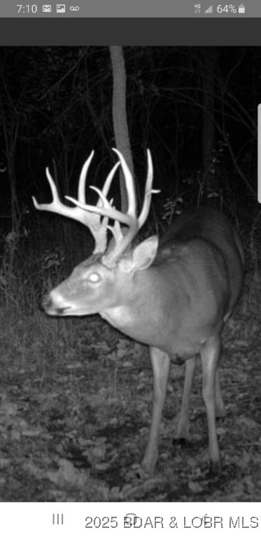 Tbd Copperstone Road Camdenton, MO 65020 - Photo 13 of 13