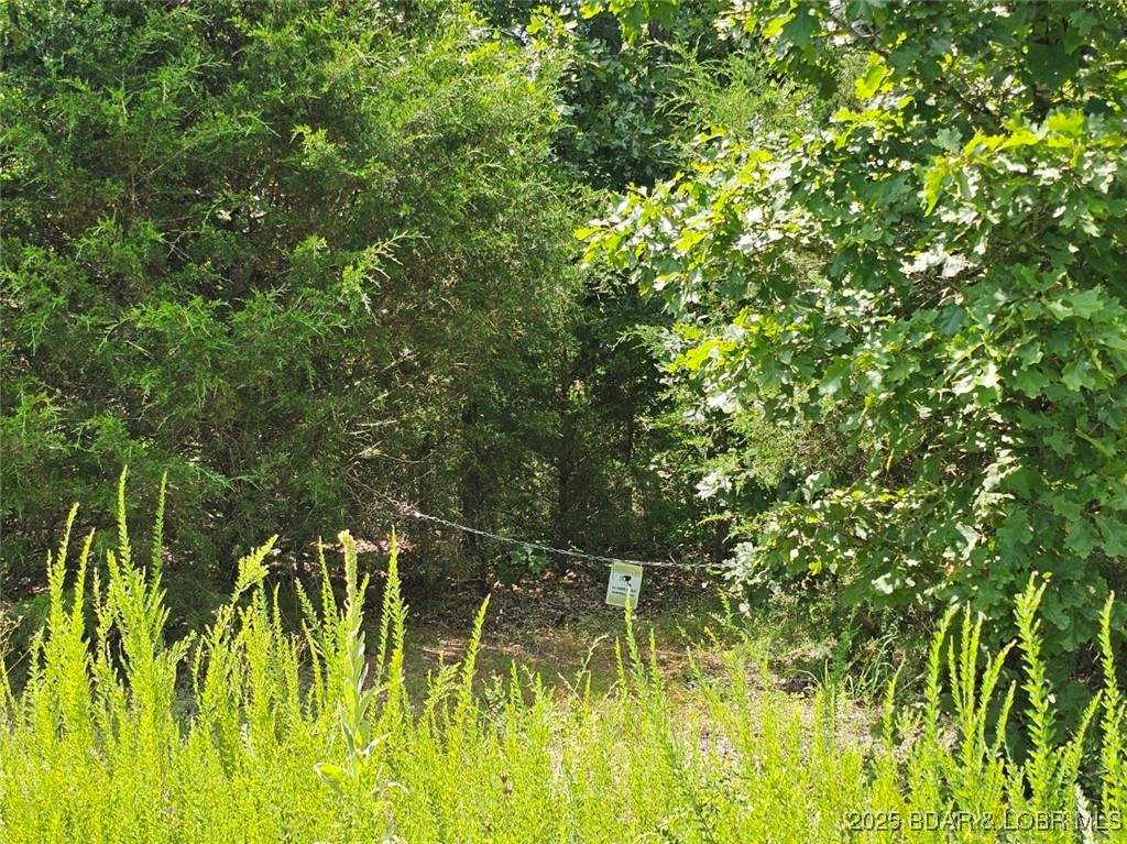 Tbd Copperstone Road Camdenton, MO 65020 - Photo 6 of 13