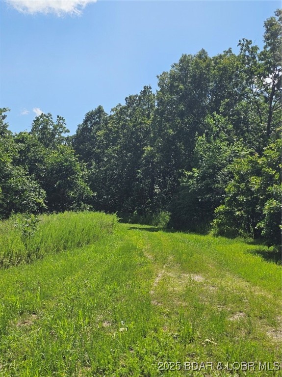 Tbd Copperstone Road Camdenton, MO 65020 - Photo 9 of 13