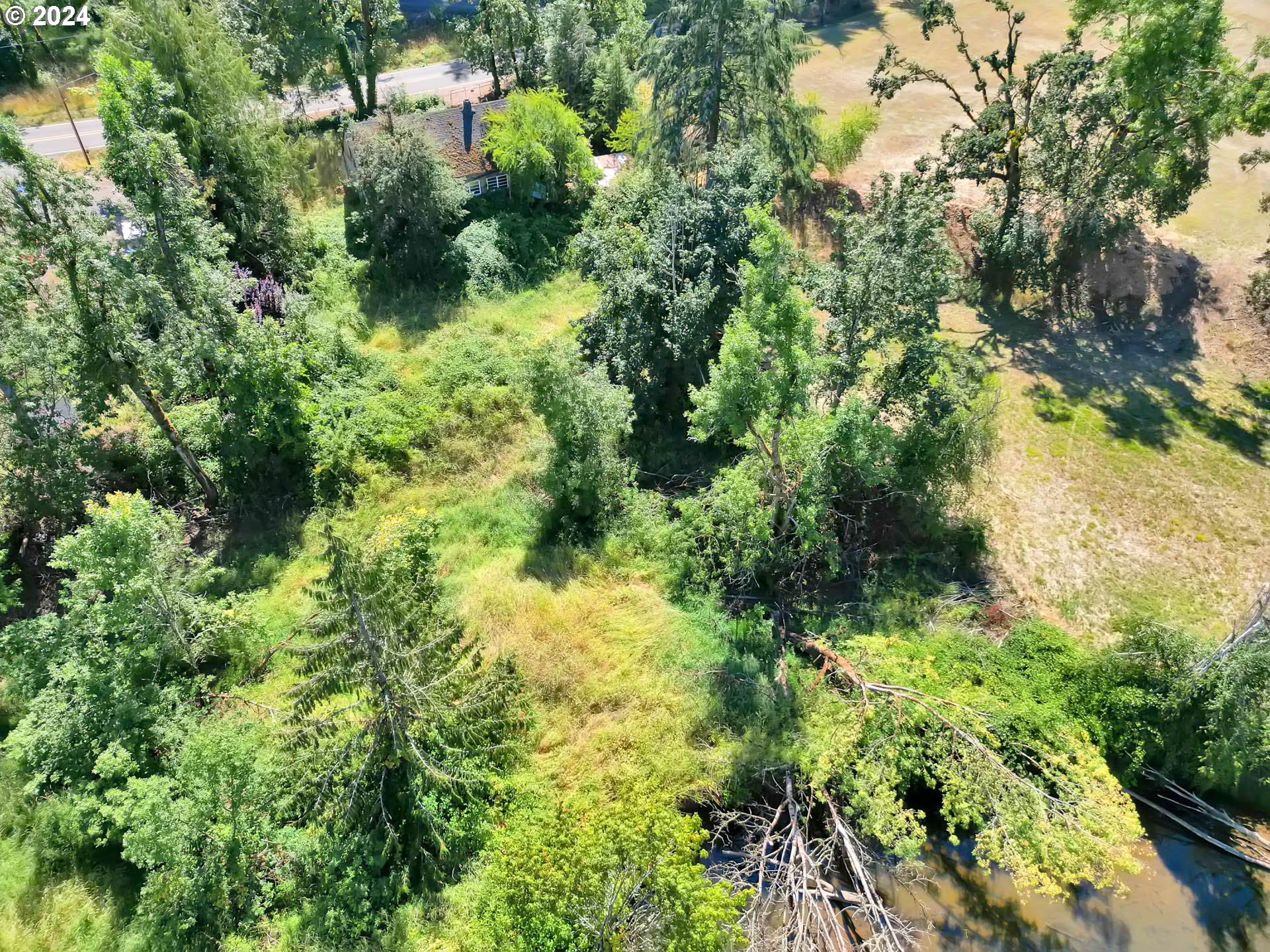 89328 Old Mohawk Road Springfield, OR 97478 - Photo 11 of 12 a view of a garden with plants