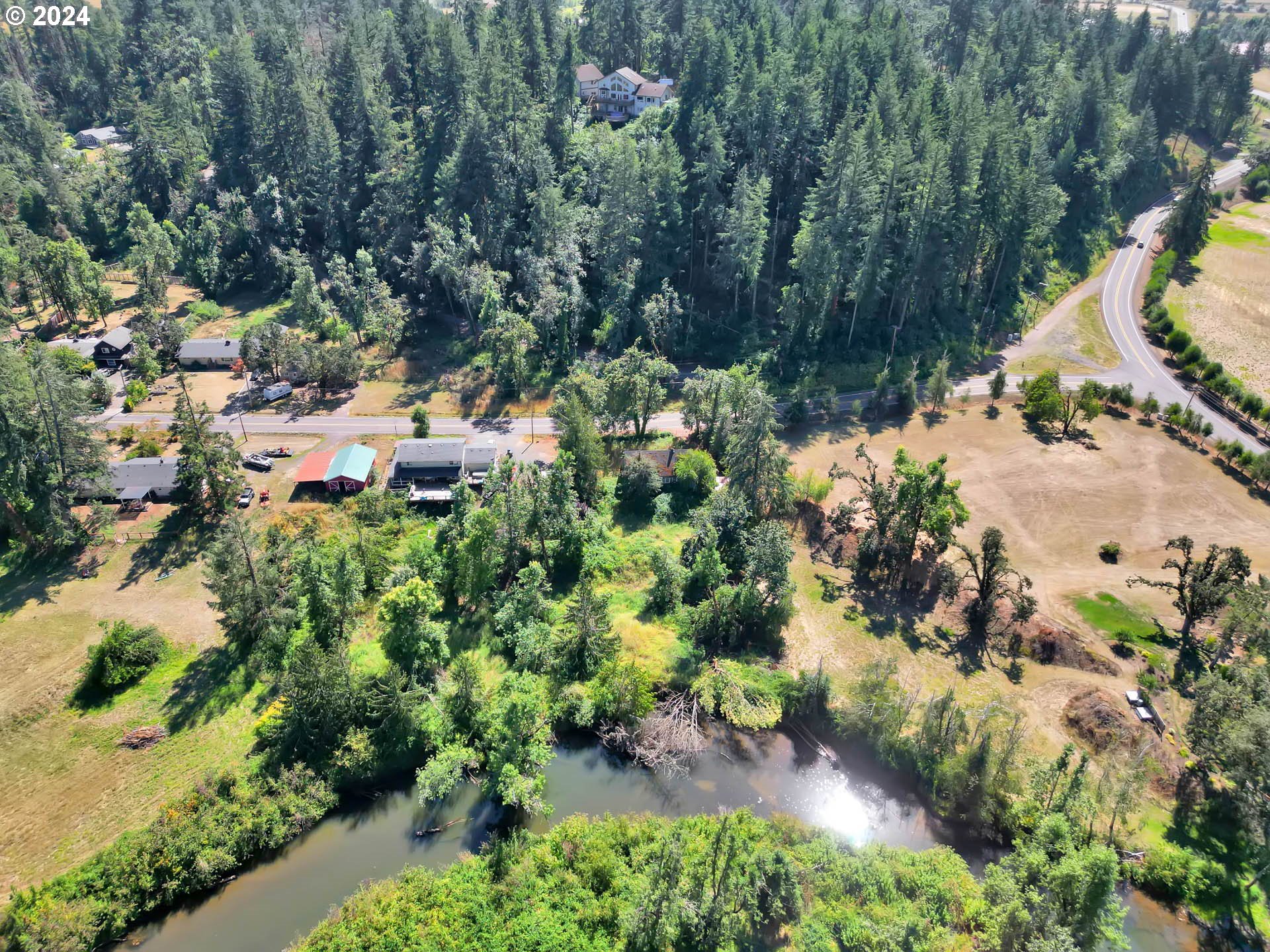 89328 Old Mohawk Road Springfield, OR 97478 - Photo 6 of 12 a view of a garden with a tree