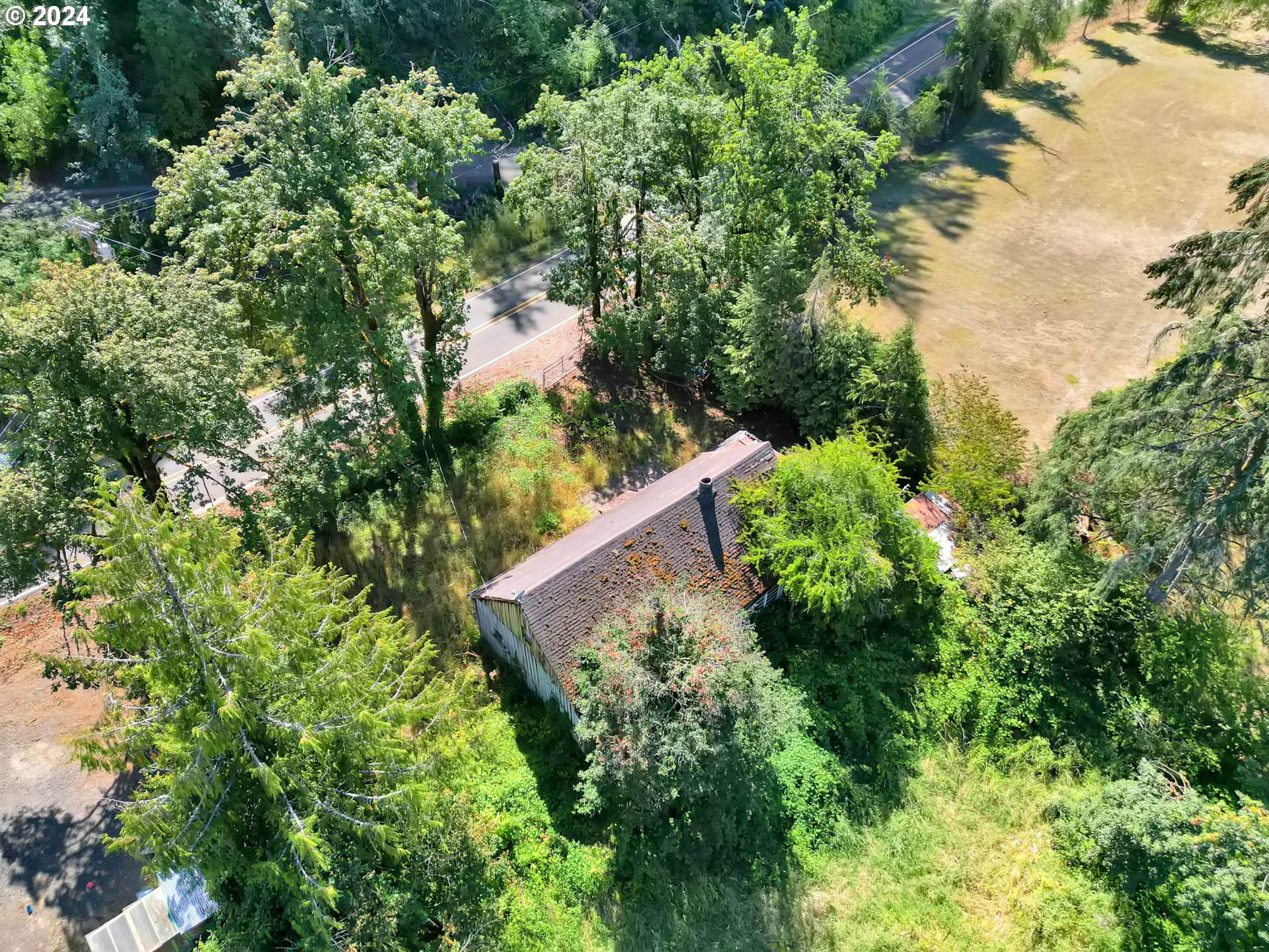 89328 Old Mohawk Road Springfield, OR 97478 - Photo 8 of 12 a view of a garden