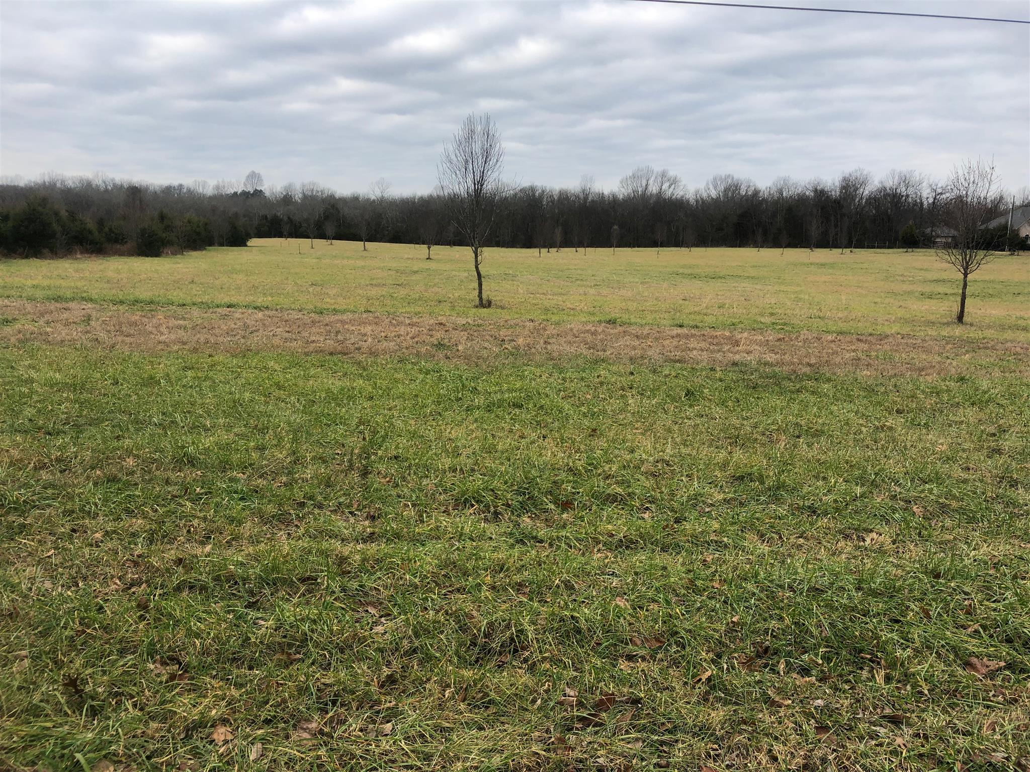 17 Johnson Road Morrison, TN 37357 - Photo 5 of 7