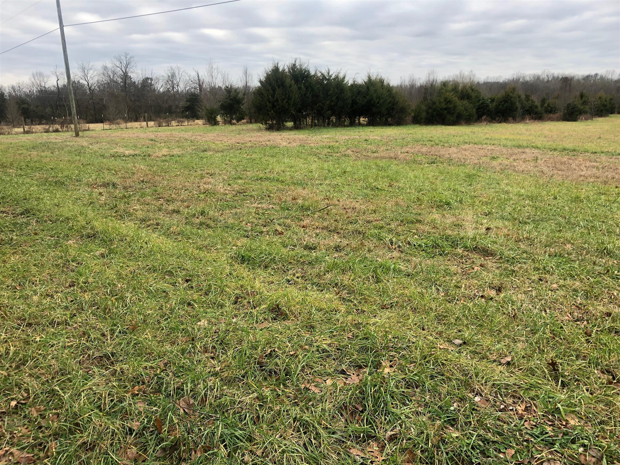 17 Johnson Road Morrison, TN 37357 - Photo 7 of 7