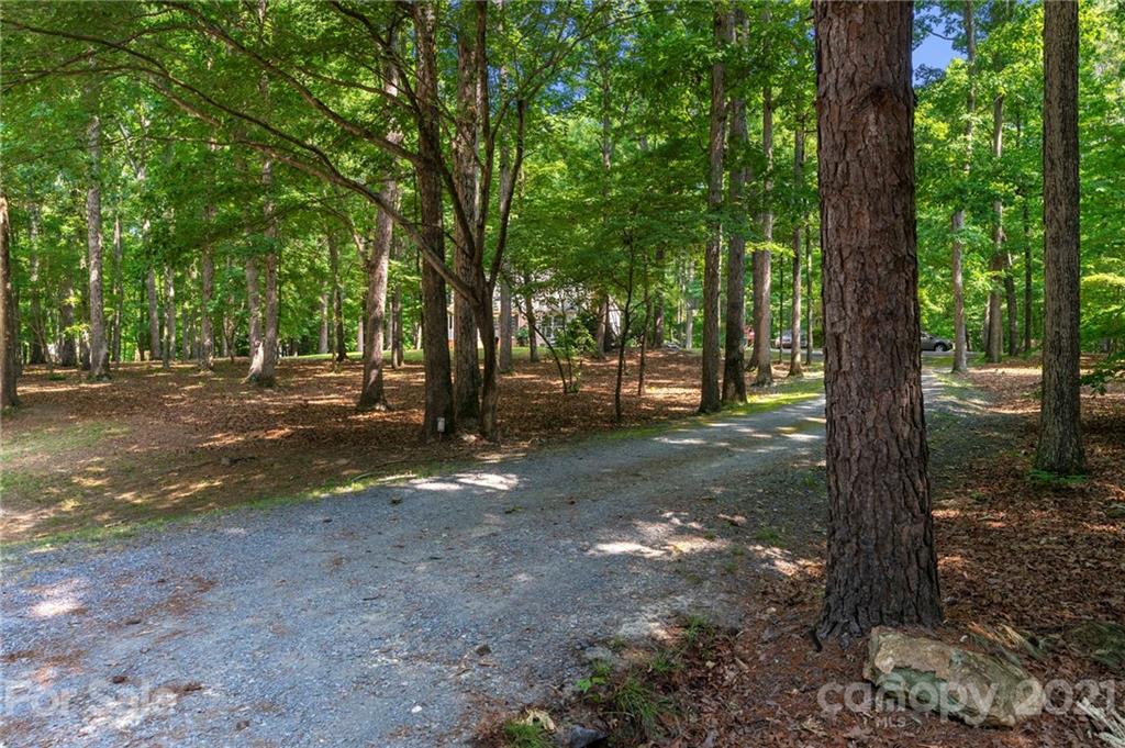 224 Raintree Drive Matthews, NC 28104 - Photo 47 of 48 a view of a tree in the middle of a yard