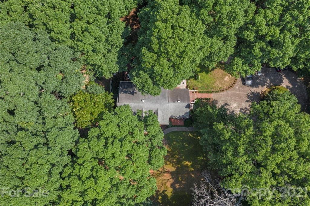 224 Raintree Drive Matthews, NC 28104 - Photo 6 of 48 a view of a large yard with plants and large trees