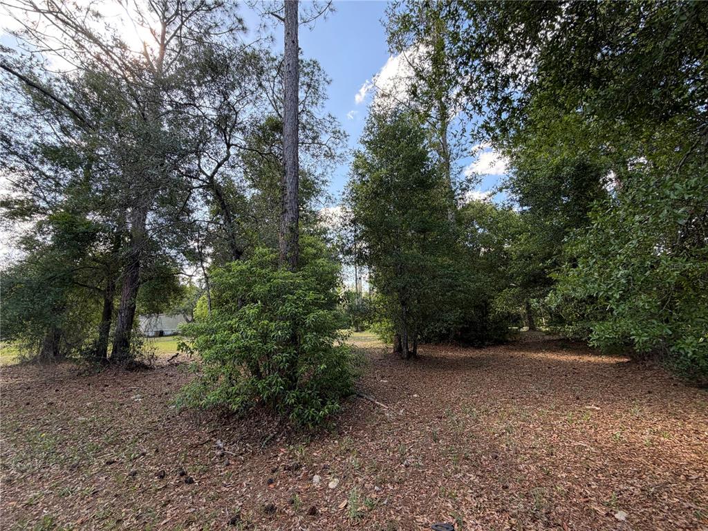 30842 Round Lake Road Sorrento, FL 32776 - Photo 8 of 8
