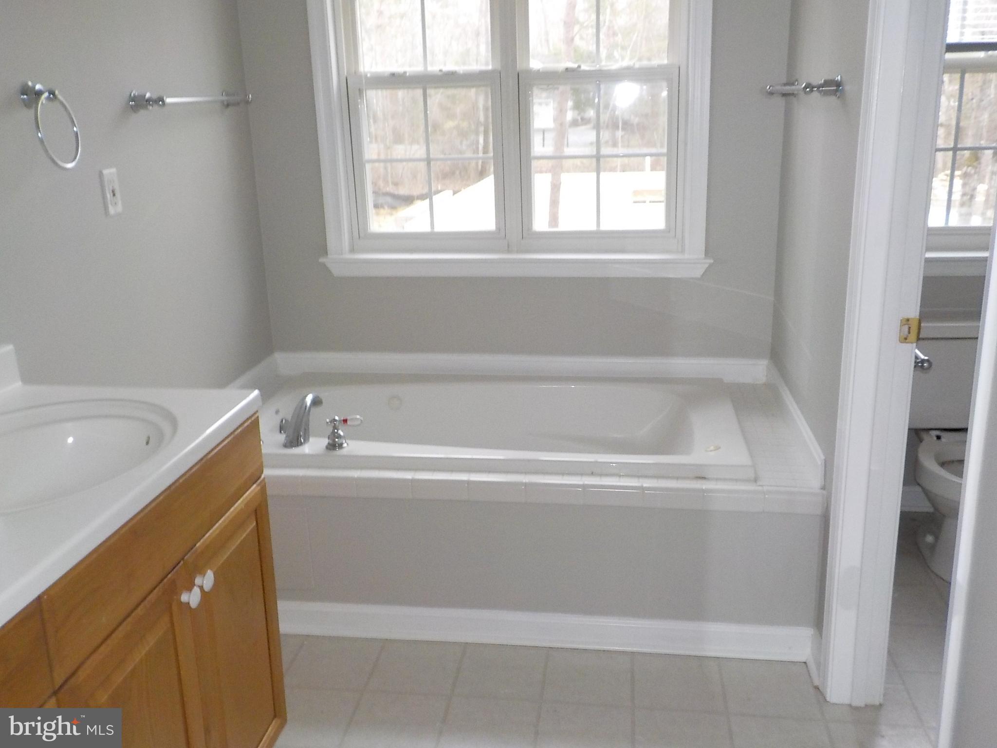 407 Battlefield Road Locust Grove, VA 22508 - Photo 10 of 12 Bath
