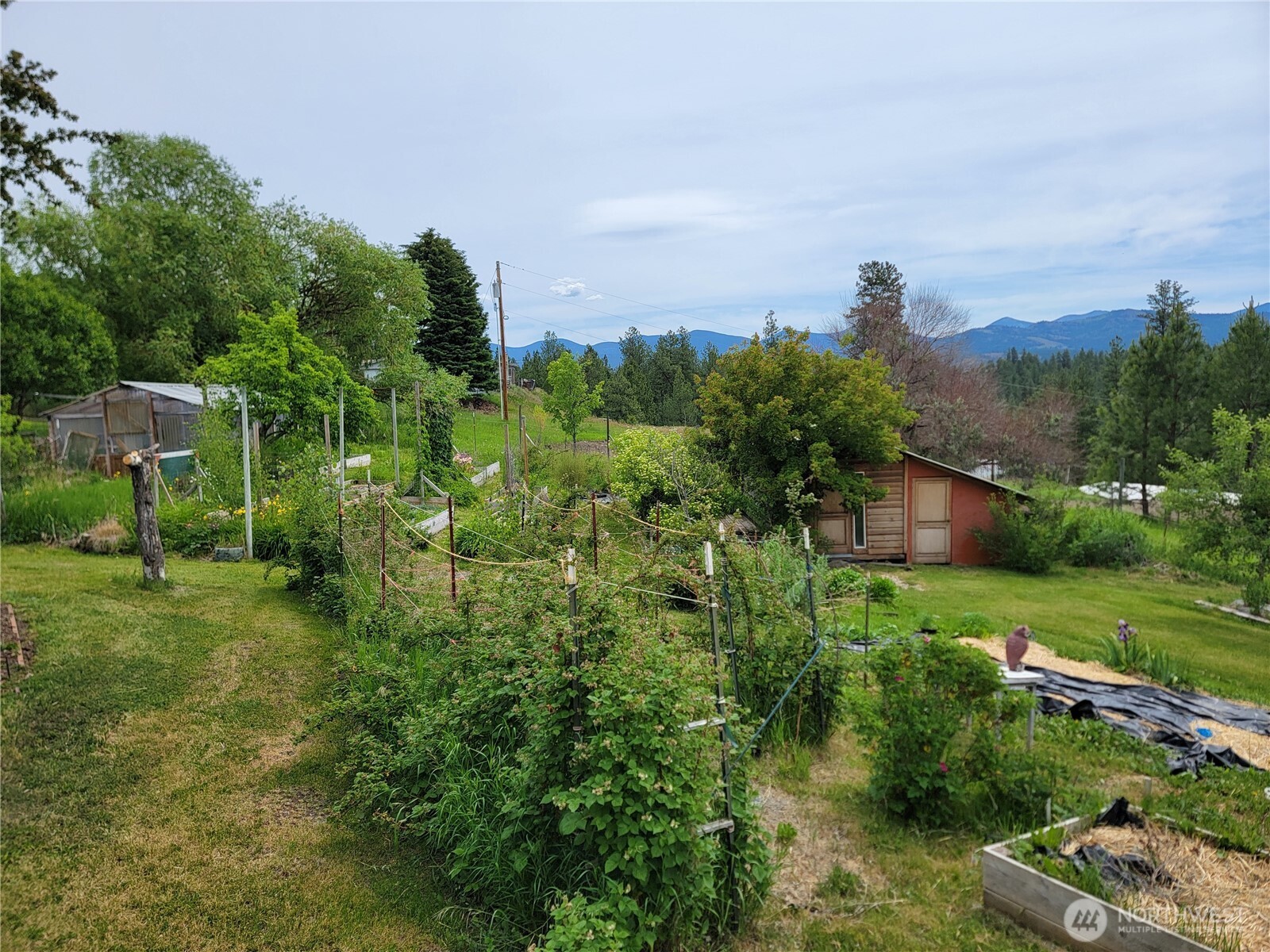 220 Center Road Republic, WA 99166 - Photo 22 of 40