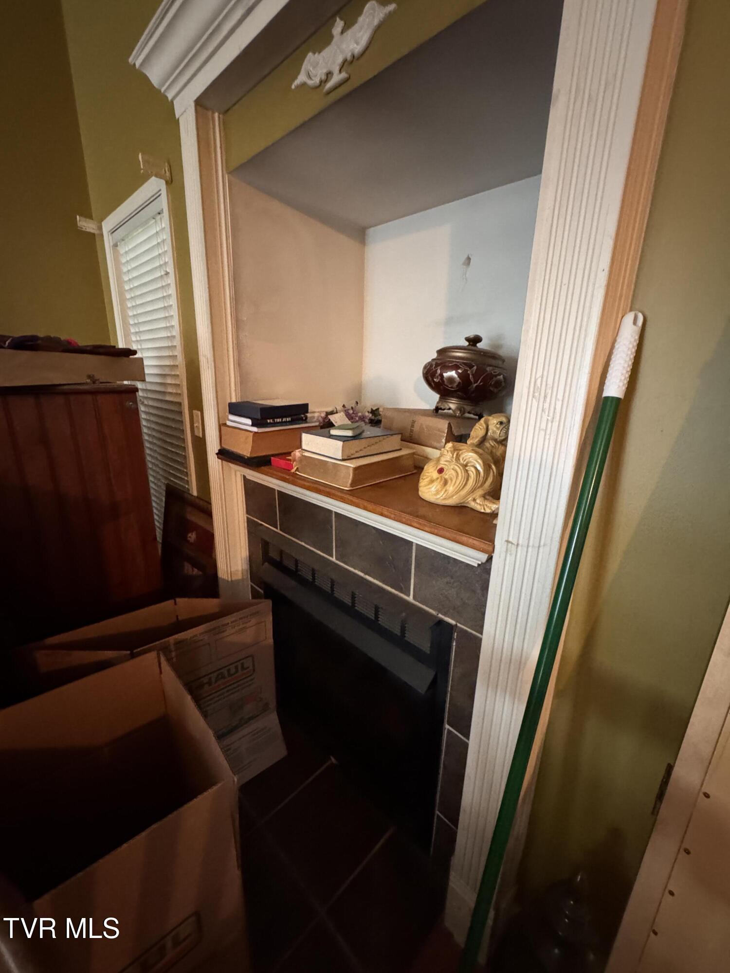 591 Free Hill Road Gray, TN 37615 - Photo 14 of 33 IMG_3873