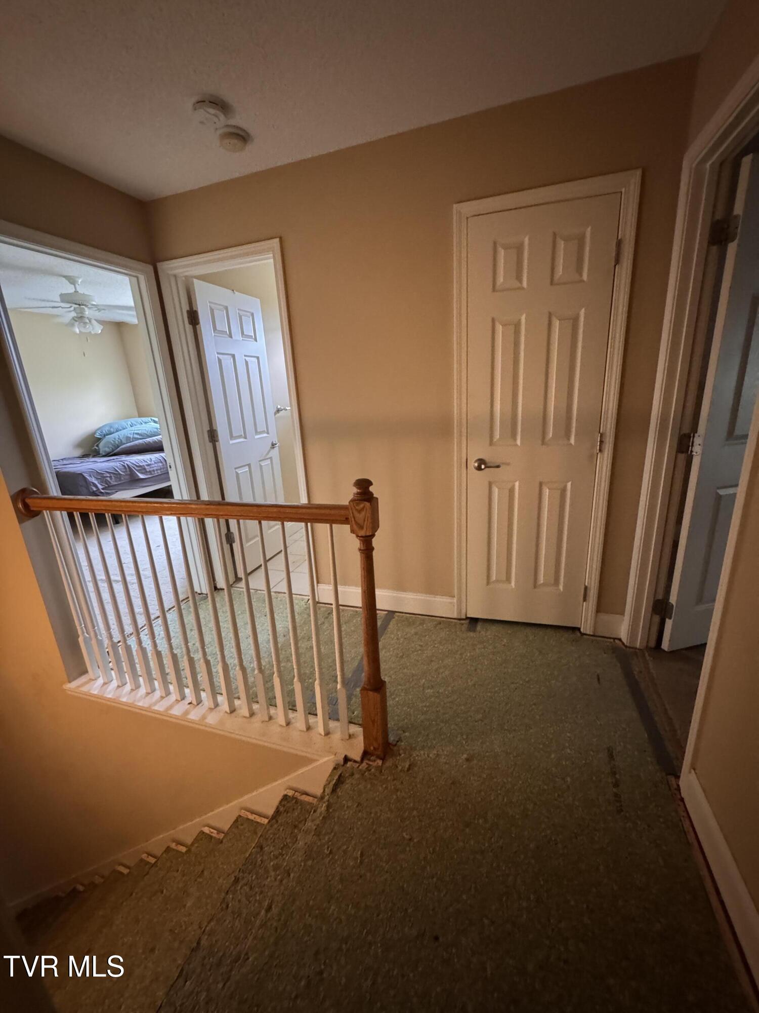 591 Free Hill Road Gray, TN 37615 - Photo 22 of 33 IMG_3887