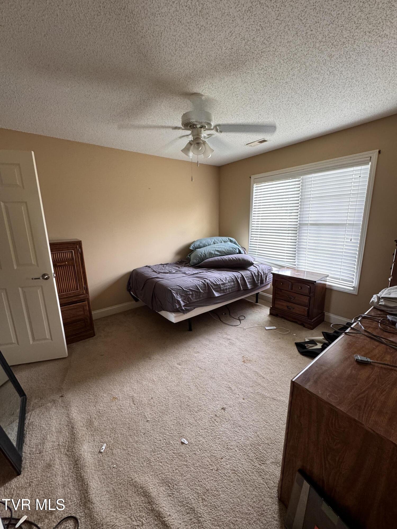 591 Free Hill Road Gray, TN 37615 - Photo 23 of 33 IMG_3883