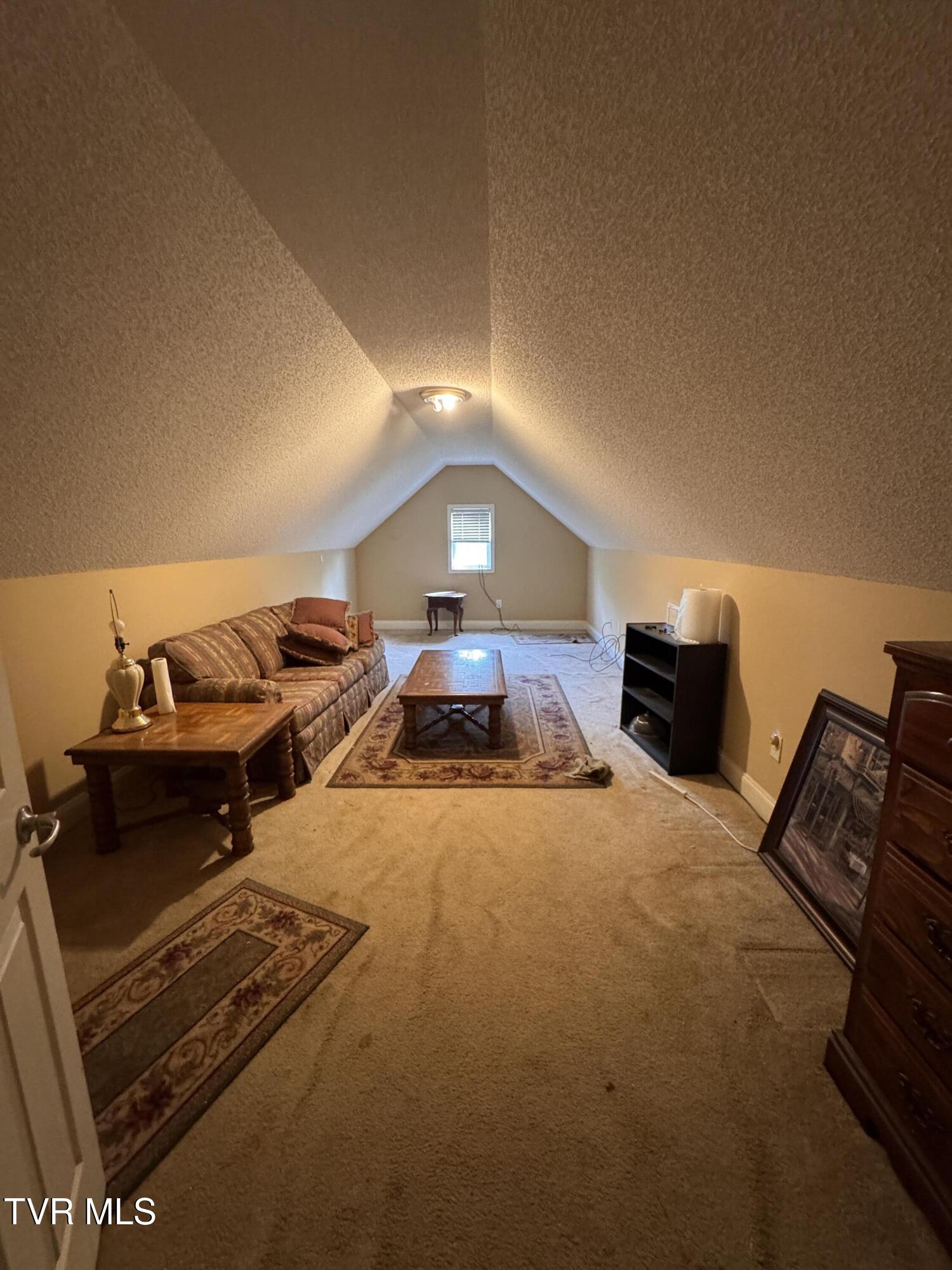 591 Free Hill Road Gray, TN 37615 - Photo 25 of 33 IMG_3882