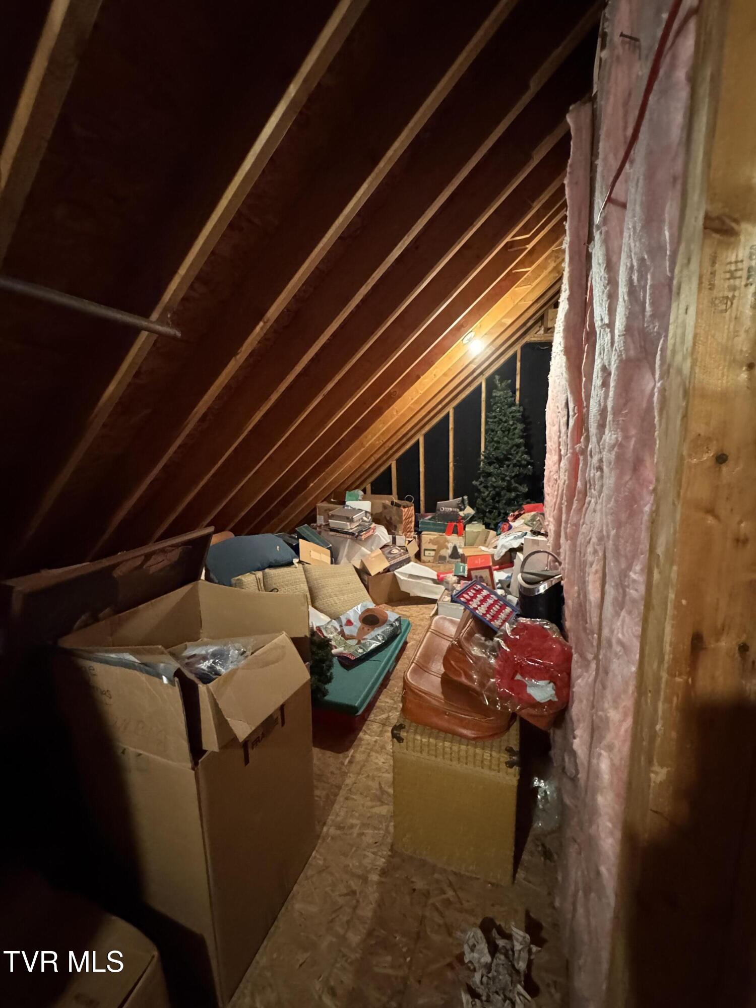 591 Free Hill Road Gray, TN 37615 - Photo 26 of 33 IMG_3886