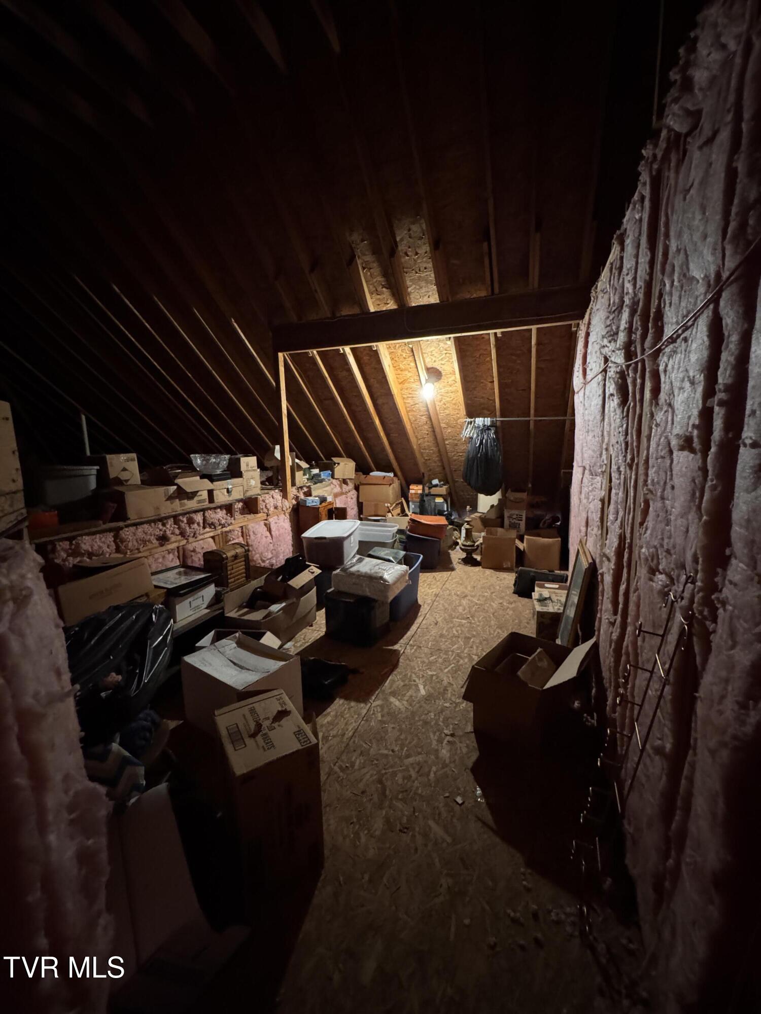 591 Free Hill Road Gray, TN 37615 - Photo 27 of 33 IMG_3885