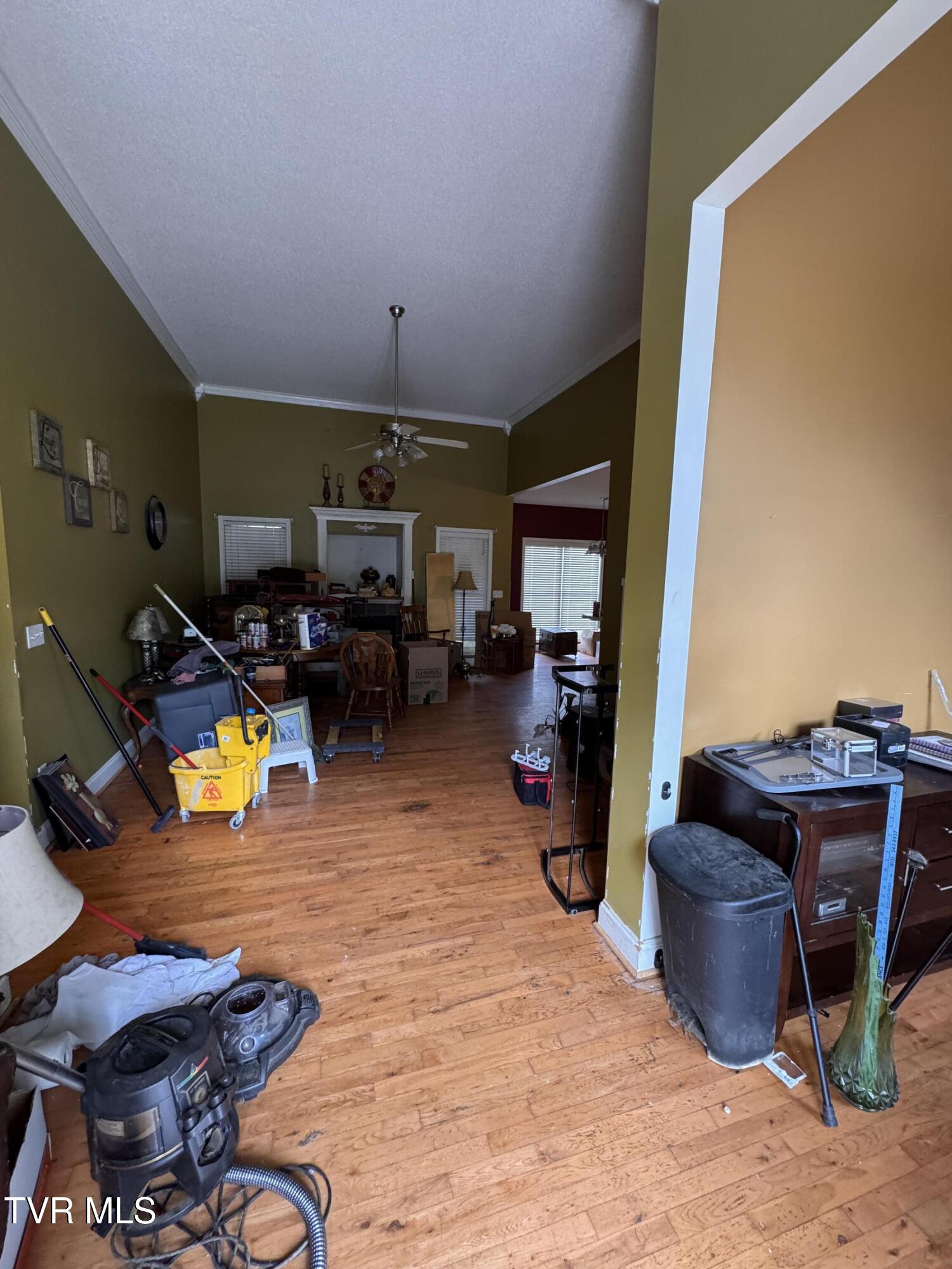 591 Free Hill Road Gray, TN 37615 - Photo 9 of 33 IMG_3868