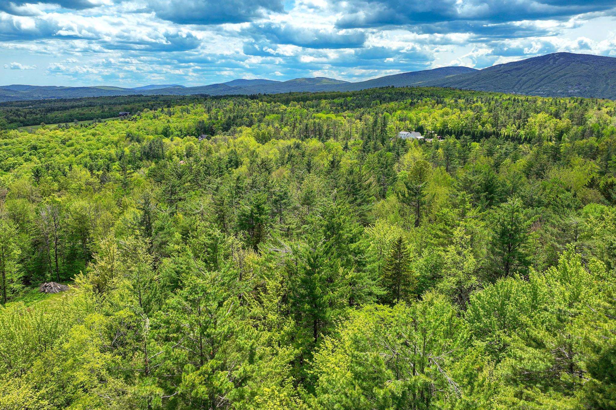 0 North Hill Pent Road Ludlow, VT 05149 - Photo 12 of 16