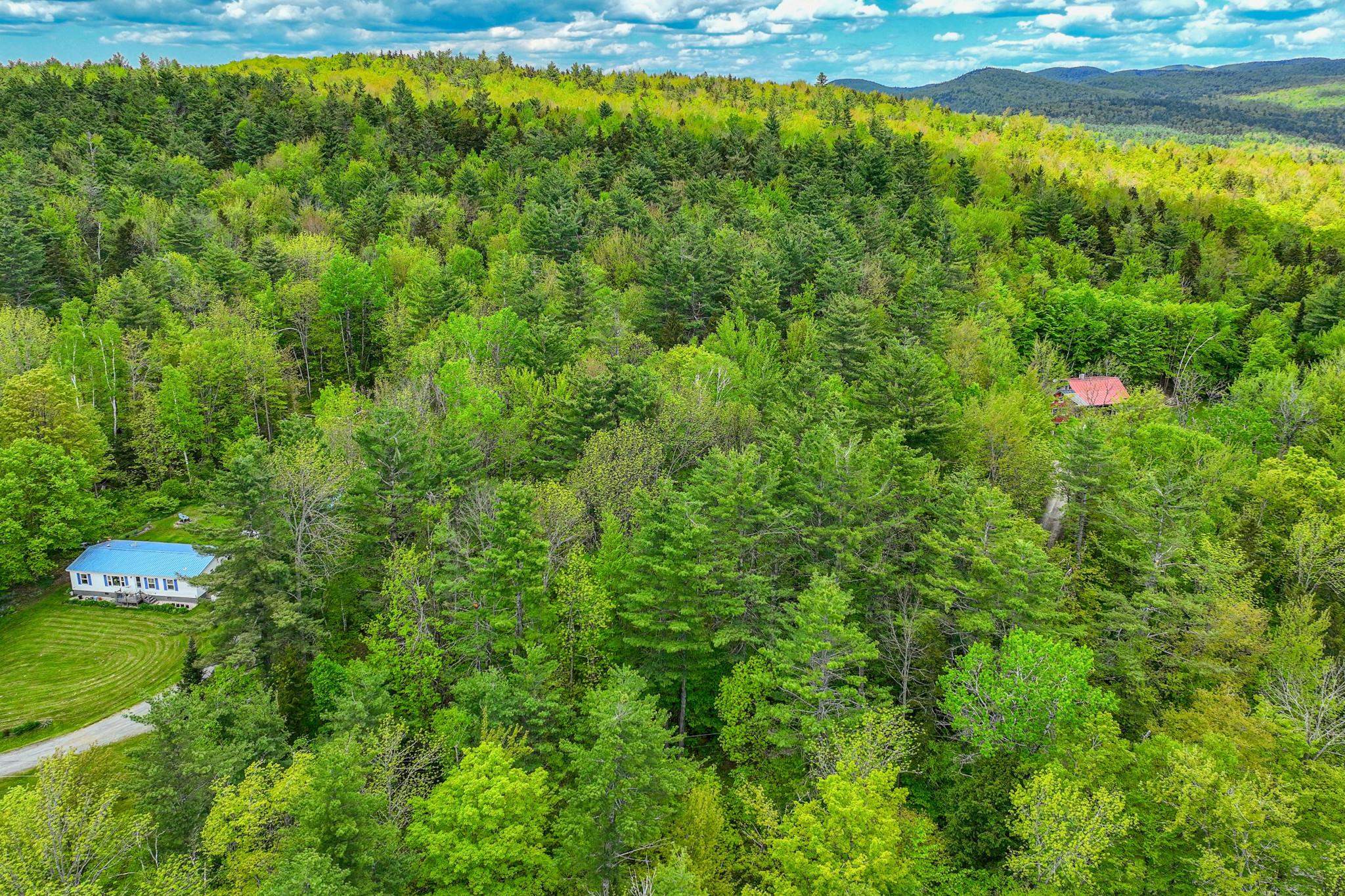 0 North Hill Pent Road Ludlow, VT 05149 - Photo 5 of 16