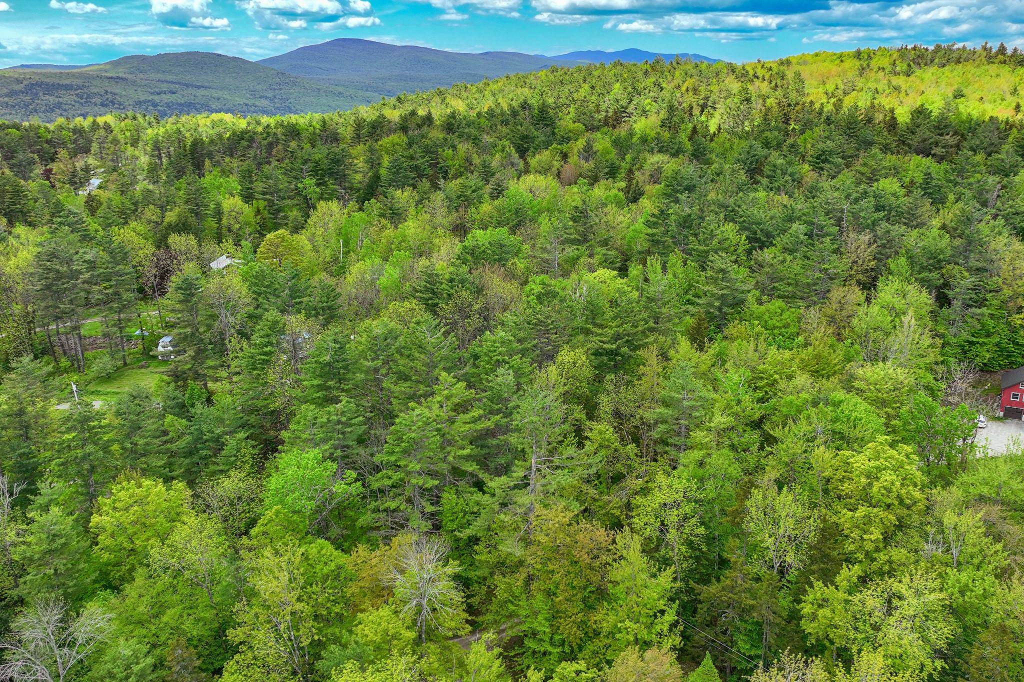 0 North Hill Pent Road Ludlow, VT 05149 - Photo 6 of 16