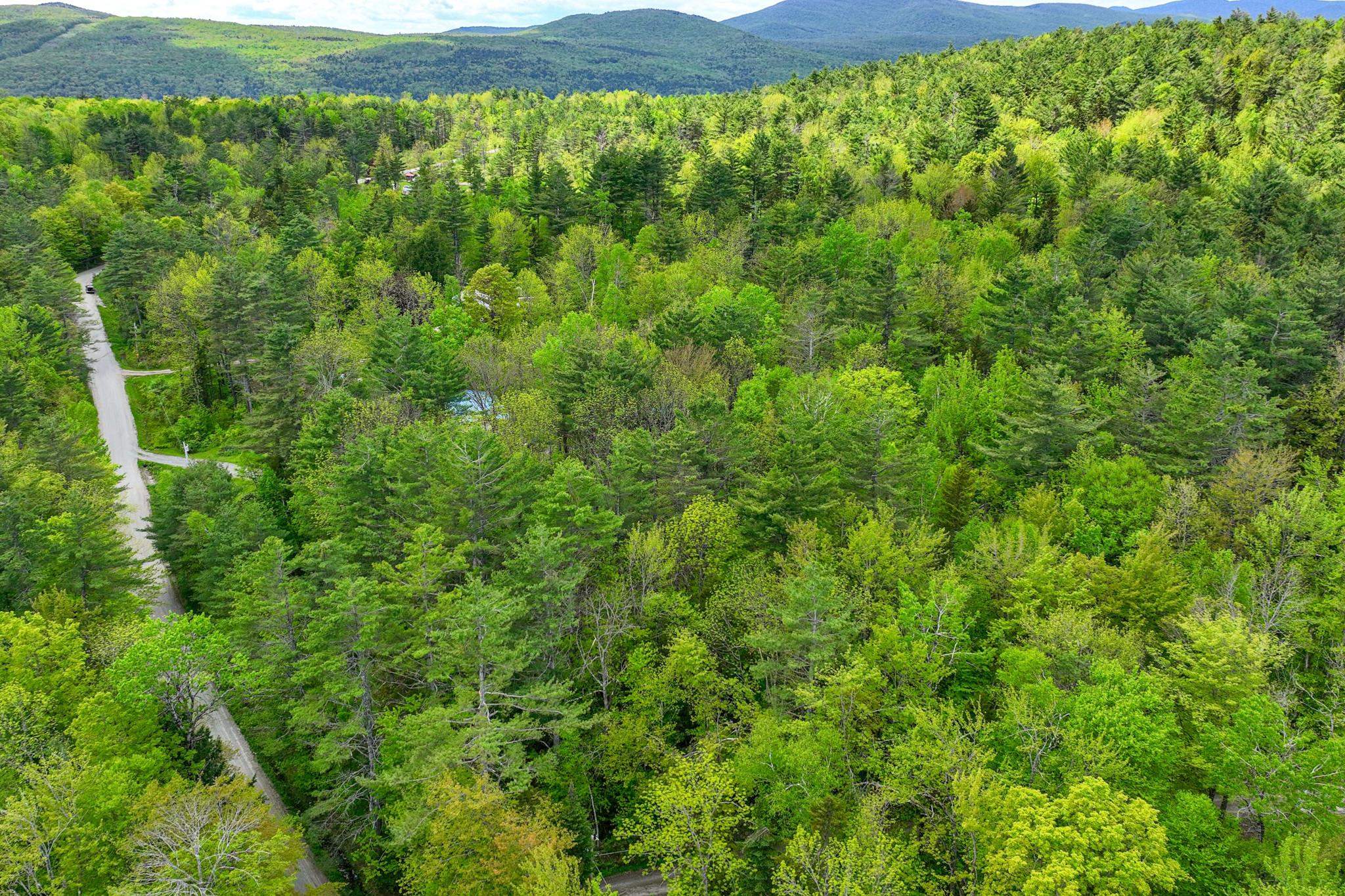 0 North Hill Pent Road Ludlow, VT 05149 - Photo 7 of 16