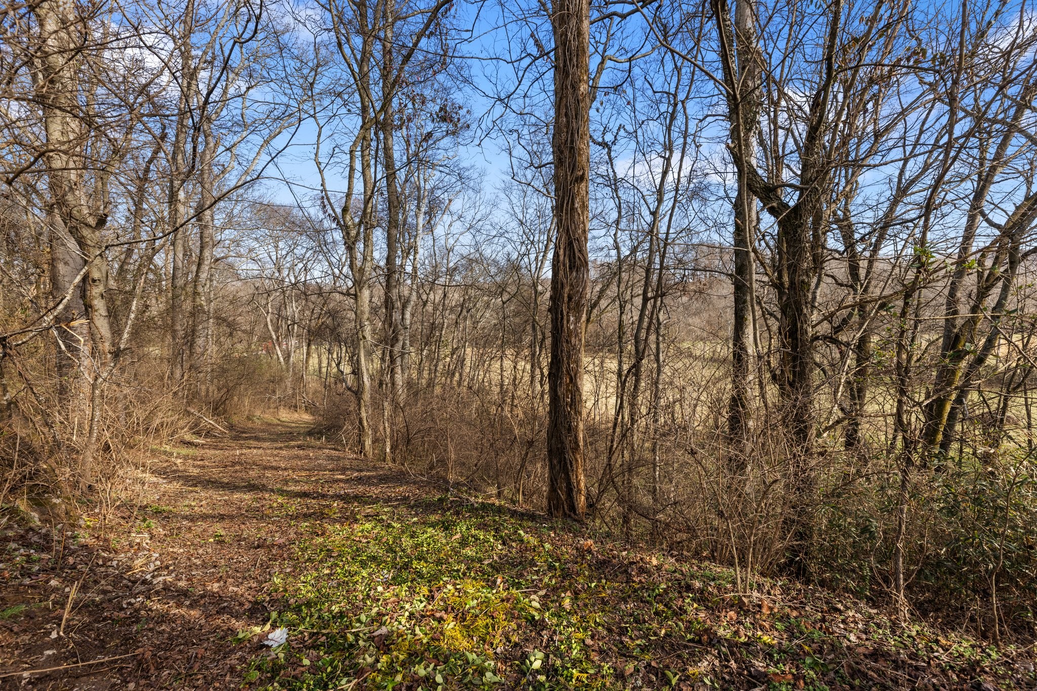6722 Arno-Allisona Road College Grove, TN 37046 - Photo 48 of 52 Gallery Image 48