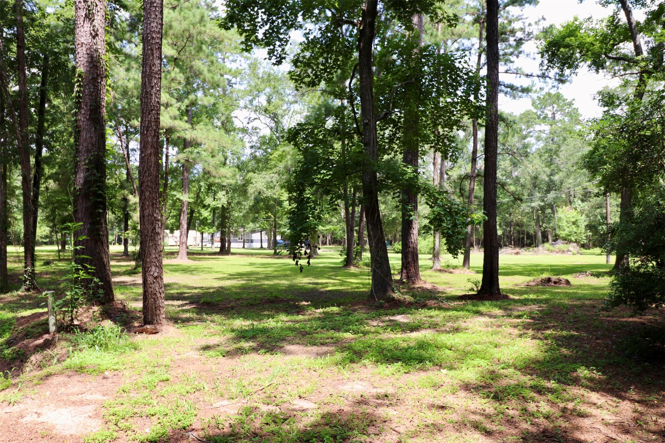 1250 Meekins Road Cleveland, TX 77328 - Photo 42 of 44