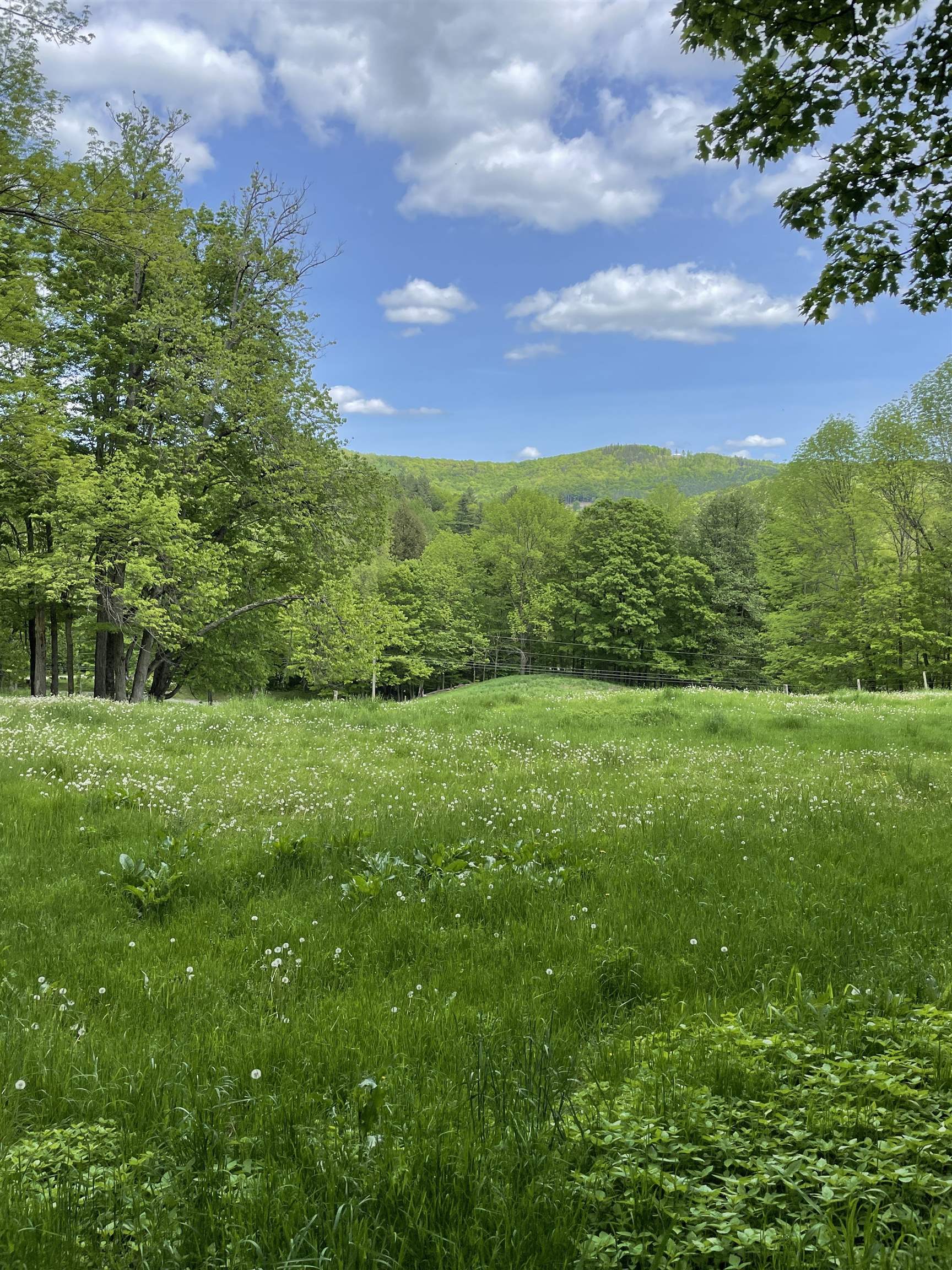 234 Randall Road Woodstock, VT 05091 - Photo 10 of 14