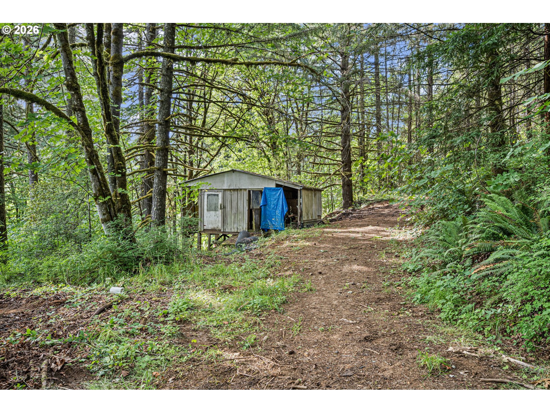 22385 Noti Loop Road Noti, OR 97461 - Photo 39 of 47