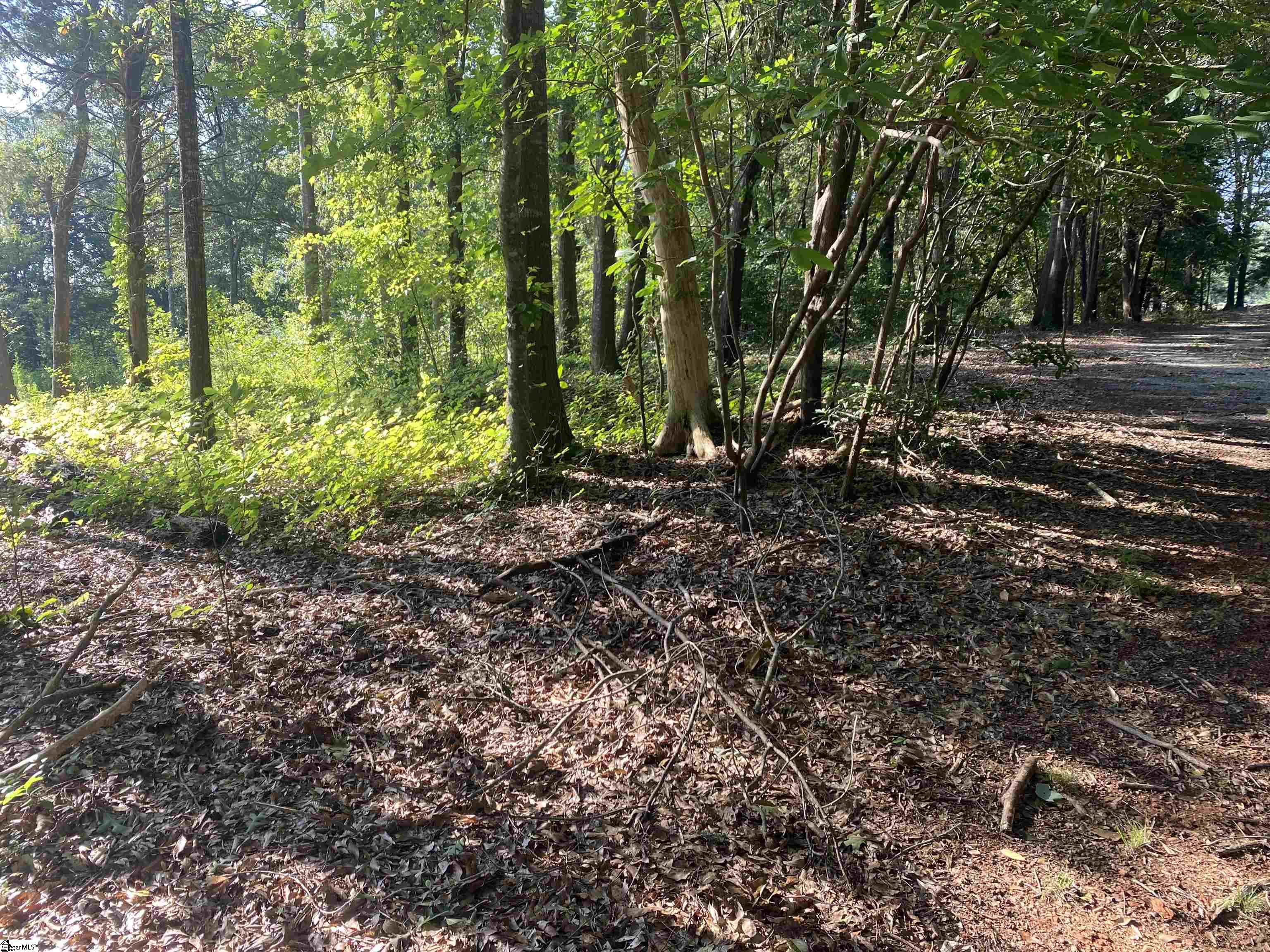 0 Berry Glen Road Pelzer, SC 29669 - Photo 3 of 3 Gallery Image 3