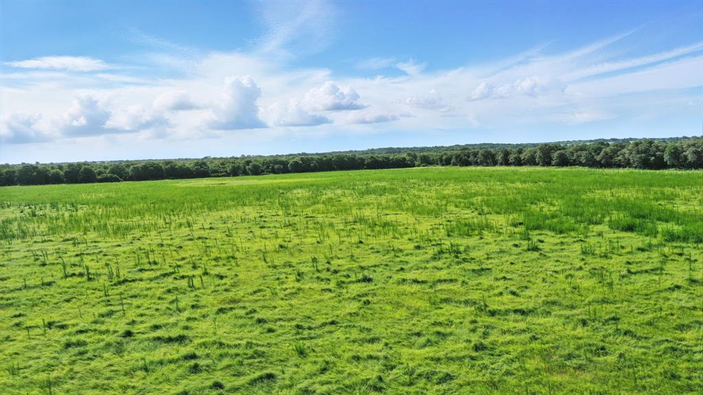 246 County Road 560 Rising Star, TX 76471 - Photo 39 of 39