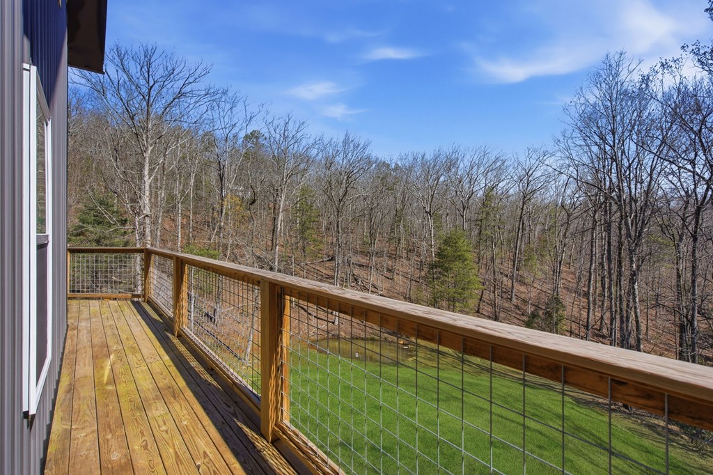 550 Bear Gap Road Clarkesville, GA 30523 - Photo 30 of 47 Gallery Image 30