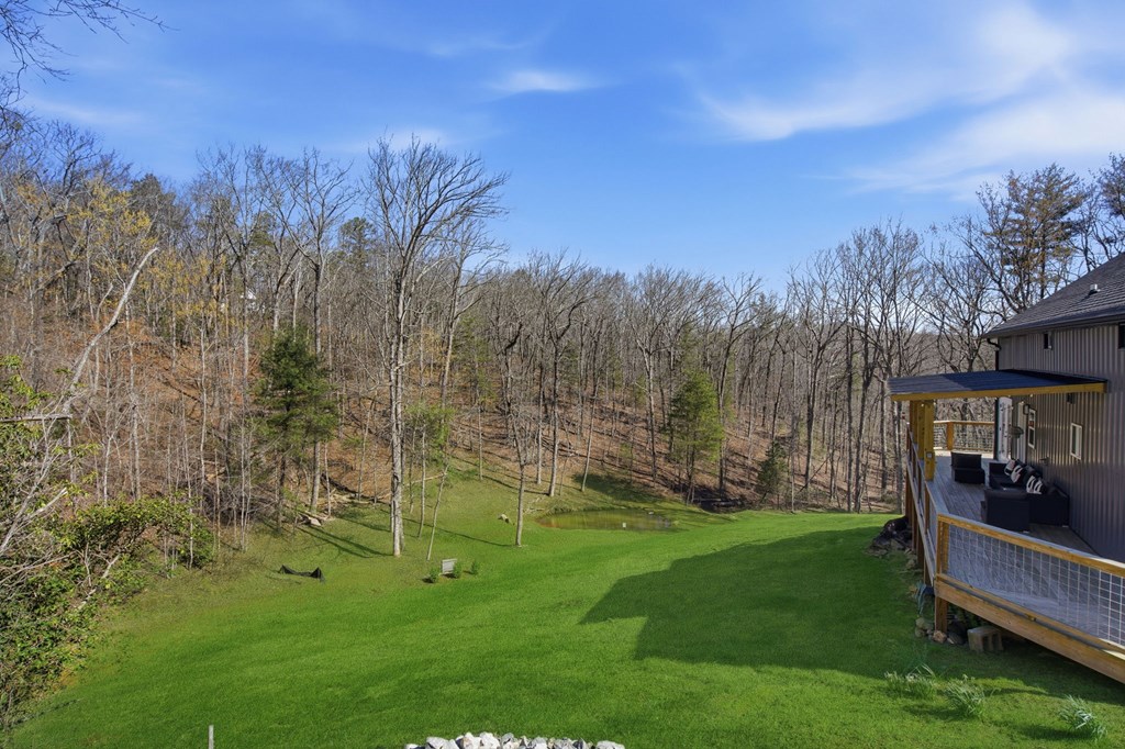 550 Bear Gap Road Clarkesville, GA 30523 - Photo 33 of 47 Gallery Image 33